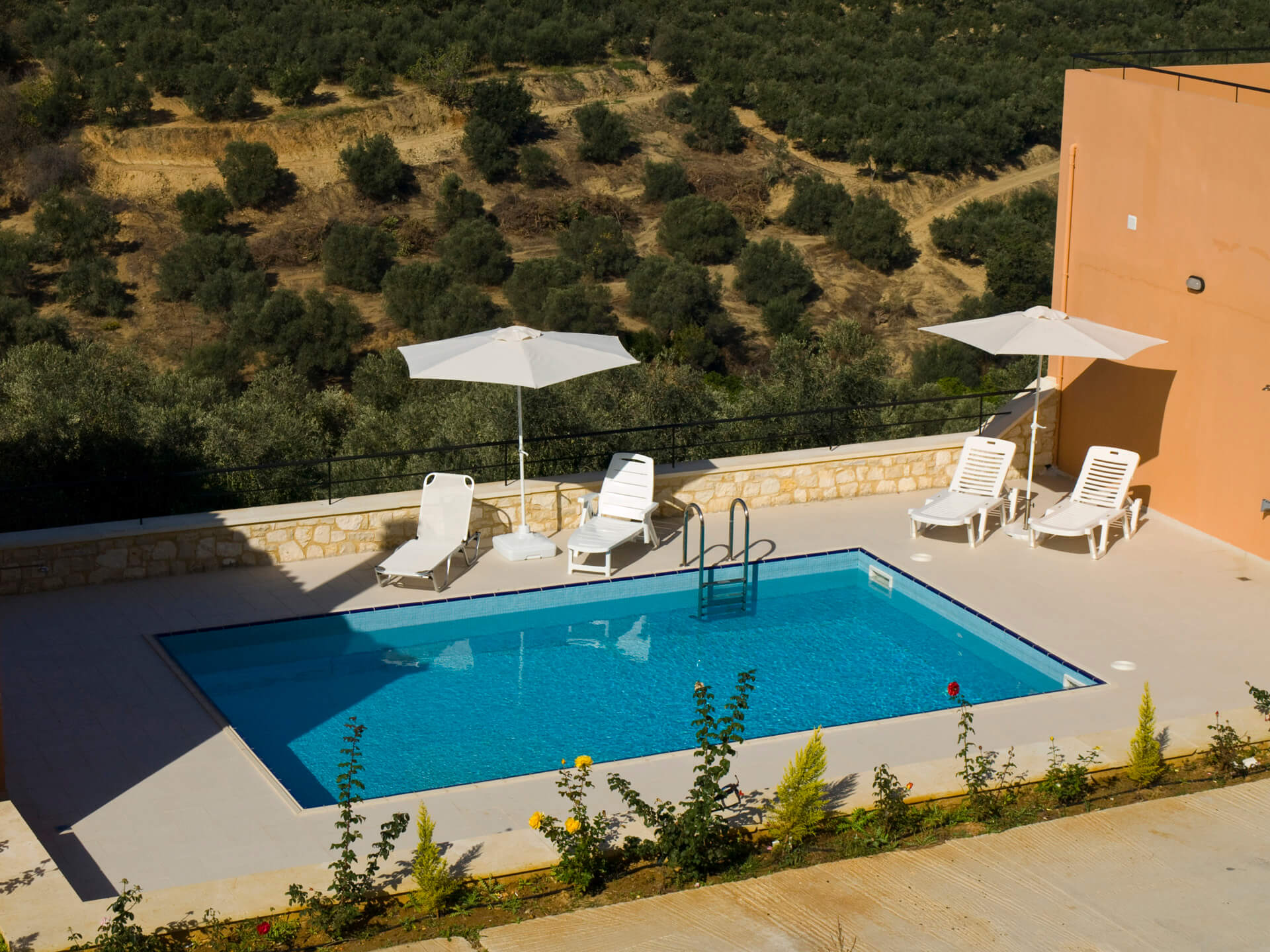 Olive Tree Apartments sharing private pool Chania